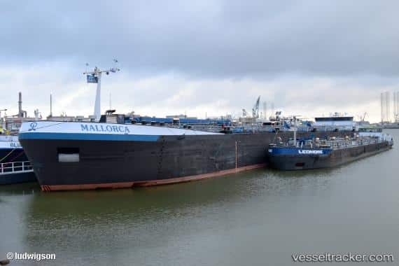 Drunk Captain Arrested After Ship Runs Aground in Scheldt-Rhine Canal