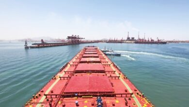 Dry Bulk Carriers and Containers Domination Newbuilding