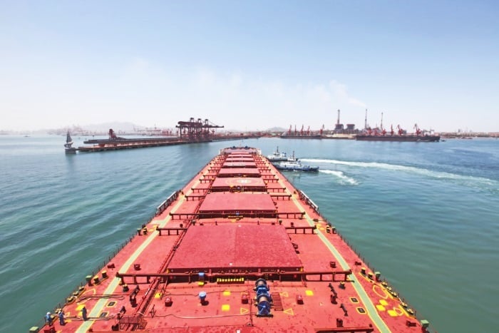 Dry Bulk Carriers and Containers Domination Newbuilding