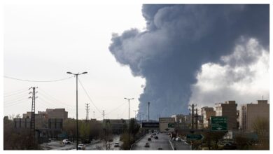 Eid Celebrations in Tehran Clouded by Nuclear Plant Attack Reports, No Radiation