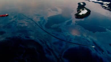 Exxon Valdez Oil Spill: A Lasting Legacy