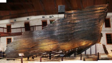 Historic Shipwreck Reveals Tudor Shipbuilding Secrets