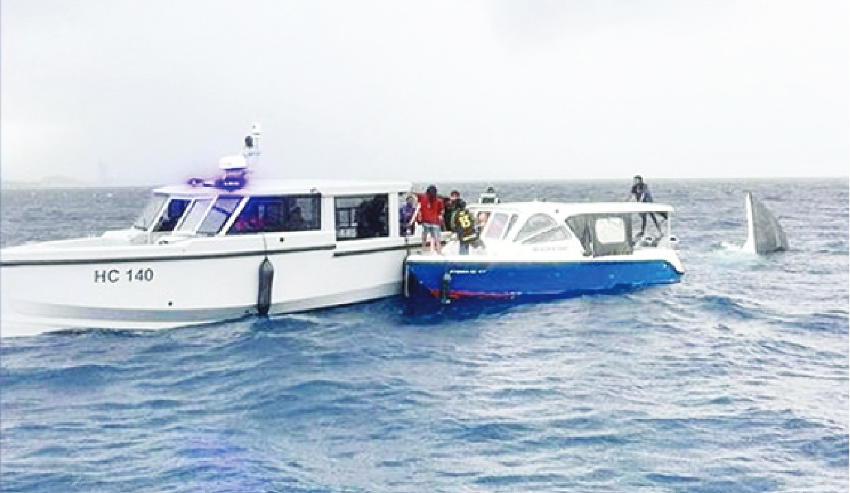 Maldives Speedboat Tragedy: Hari Singh, Mahesh Ramachandran Missing