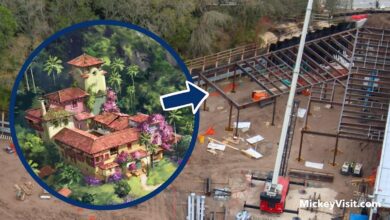New Disney World Ride Based on Recent Animated Hit Reaches Construction
