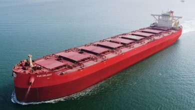 Pan Ocean bulks up with Qingdao Beihai newcastlemaxes