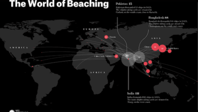 Platform publishes list of ships dismantled worldwide