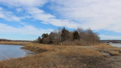 RI's newest conversation area was saved using oil spill settlement money