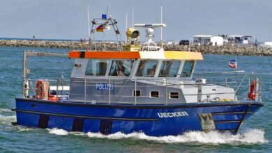 Rescue Efforts Underway for Stranded Humpback Whale in Wismar Bay