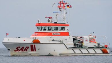 Rescue Operation for Stranded Humpback Whale in Lübeck Bay