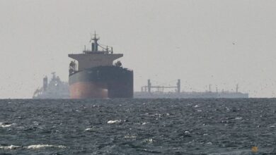 Trackers show Iran vets friendly ships for Hormuz passage