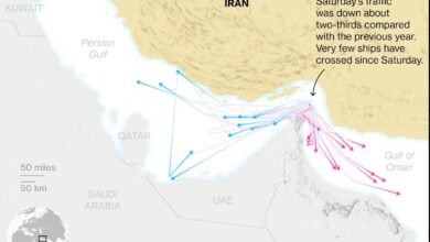 Trump’s Hormuz Assurances Only a Partial Fix, Shippers Say