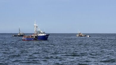 Urgent Call for Offshore Safety After Fishing Vessel Sinks