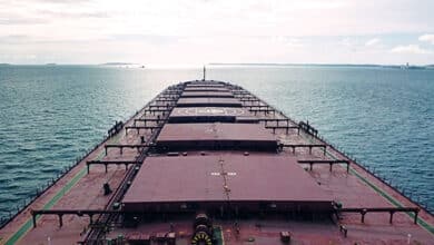 Will it be onwards and upwards for the dry bulk market in