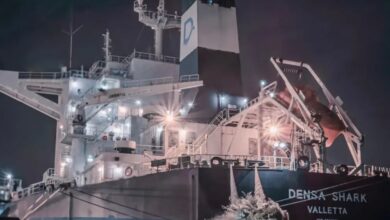 Zhejiang Shipping Group expands capesize fleet with second