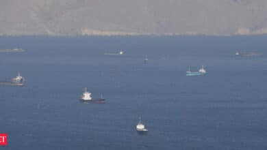 14 India-bound ships trying to cross Strait of Hormuz