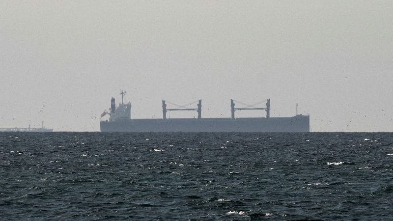 16 Indian vessels still stranded near Strait of Hormuz, 8