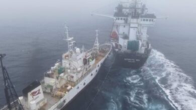 Activist ship's collision with krill trawler off Antarctica called "deliberate