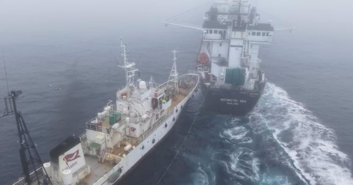 Activist ship's collision with krill trawler off Antarctica called "deliberate