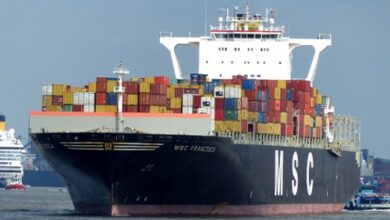 Container Ships Attacked by Iranian Forces in Strait of Hormuz