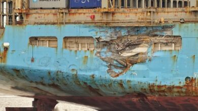 Container Ships Targeted by Iranian Gunboats in Strait of Hormuz