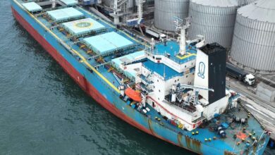 Egypt's Safaga Port Receives 66,000 tons of Russian Wheat