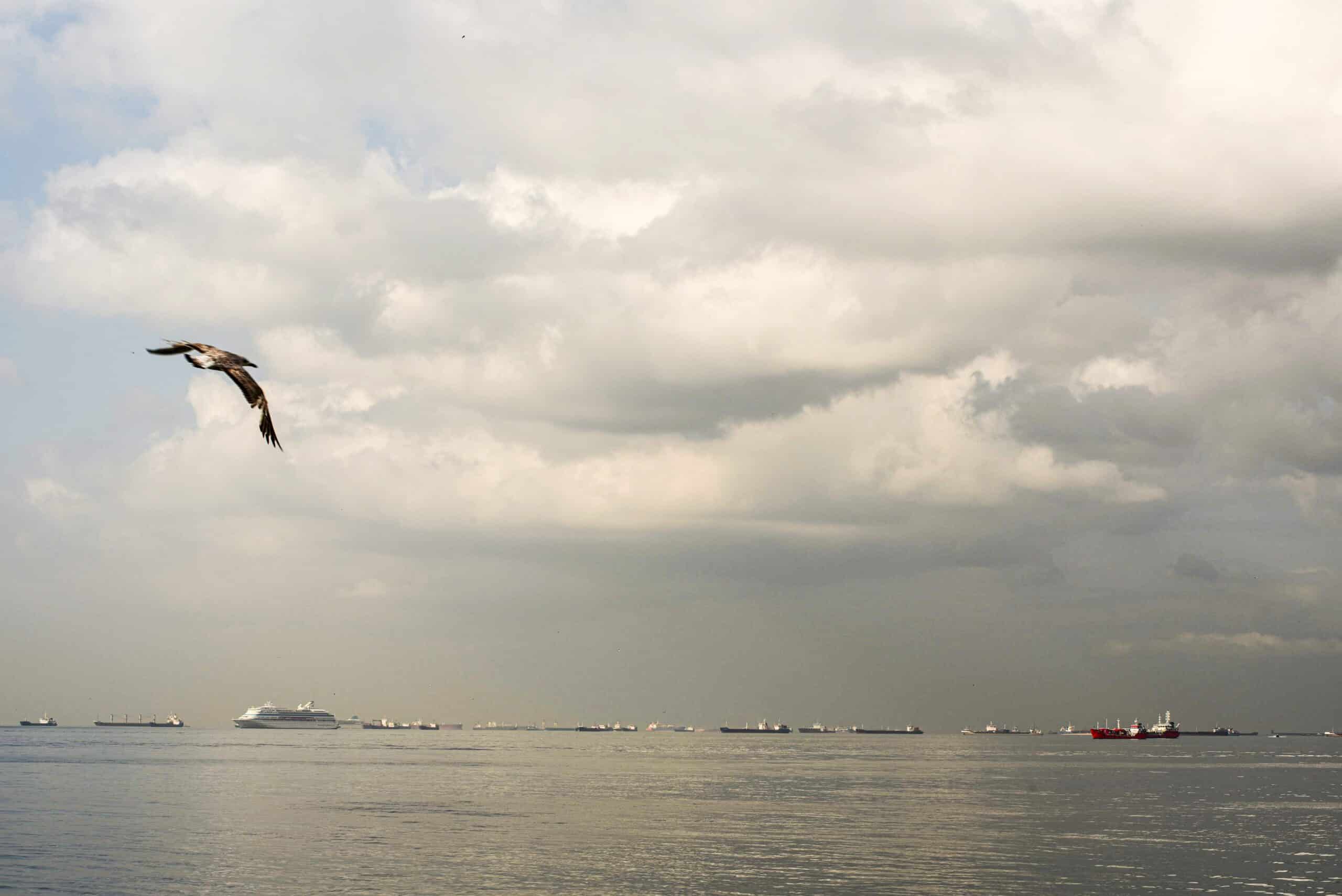 Hormuz Bottleneck Deepens as Oil Flow Remains Halted Despite