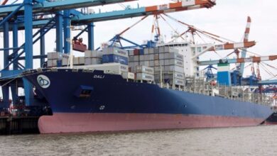 Insurance Company Reaches Settlement Over 'Dali' Incident