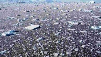 Japan Moves to Tighten Antarctic Tourism Regulations