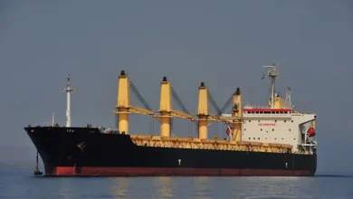 Neutrality for Sale: Israel’s Grain Skullduggery with Russia