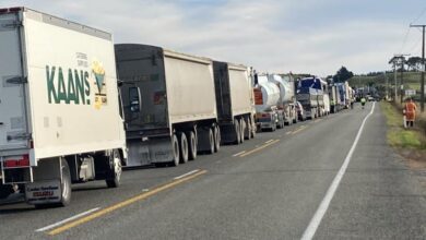 One person critically injured after SH1 crash