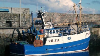 Pipe failure led to loss of Freedom II