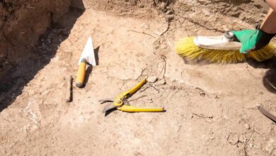 Possible Viking Ship Discovery Sparks Excitement