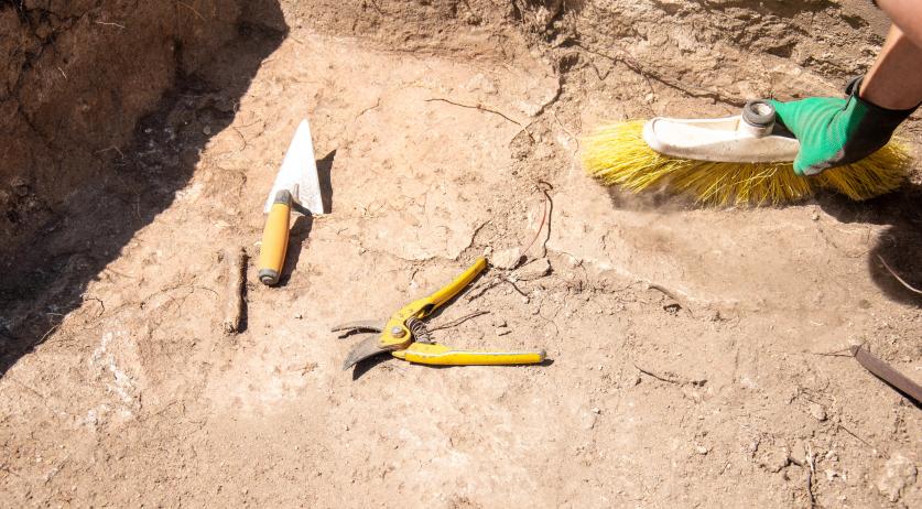 Possible Viking Ship Discovery Sparks Excitement