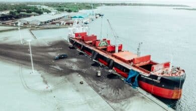 Shipping Industry Seeks Certainty as Experts Back Net-Zero