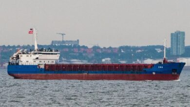 Sweden confiscates bulk carrier accused of carrying stolen