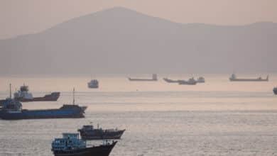 Bulk Carrier Attacked by Small Craft Near Strait of Hormuz,