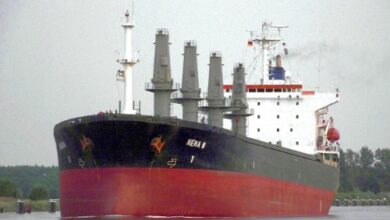 Engine Failure Causes Traffic Disruption in Istanbul Strait