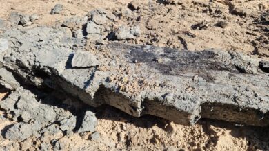 Remains of Medieval Ship Discovered in the Netherlands