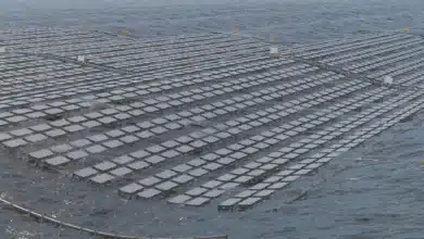 DNV review prepares Fred. Olsen's BRIZO floating solar system for rougher conditions