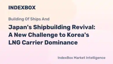 Japan's LNG Carrier Ambitions: Namura Shipbuilding's New Dock and the Challenge