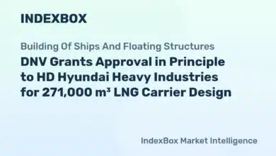 DNV Awards AiP to HD Hyundai Heavy Industries for 271K Twin Skeg LNG Carrier -