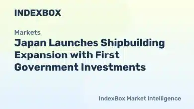Japan's First Shipbuilding Investments Announced: Doubling Volume by 2035 - News