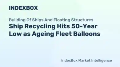 Ship Recycling at 50-Year Low: 340m GT of Ageing Tonnage Piles Up - News and
